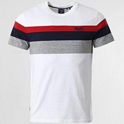 Camiseta para Hombre SUPERDRY (2XL - Multicolor)