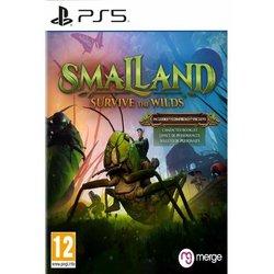 Smalland: Survive The Wil DS