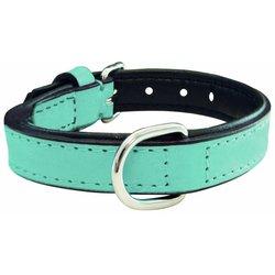 Collar para Perro Gloria 30 cm Acolchado Cuero Azul