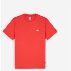 Camiseta dickies summerdale coral hombre