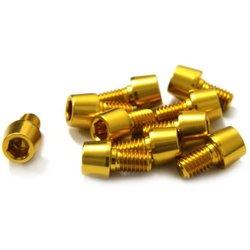 TORNILLOS ALU7075T6 M6X10 10UNI ORO