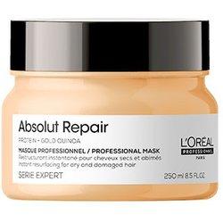 Absolut Repair Mask