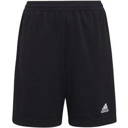 Pantalones Cortos ADIDAS Niños (11/12 Años - Multicolor)