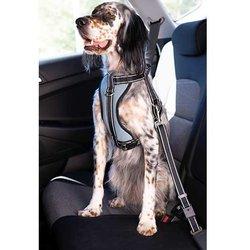 Ibañez Arnés Coche Ibáñez Dogway con Cinturón Seguridad y Accesorio Ajustable para Perros Talla L