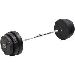 Barbell Curvo con Discos 90 kg