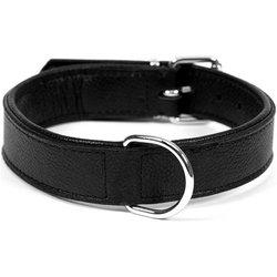 Collar para Perros GLORIA PETS Cuero Moído A Seco (26 g)