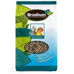 Alimentación para Pájaros BRADIUM Agapornis y Cacatúas (920 g)