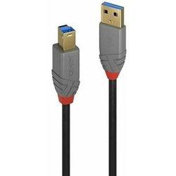 Cable USB LINDY (USB - USB)