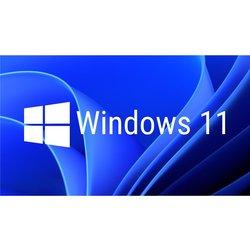 Microsoft Windows 11 Pro