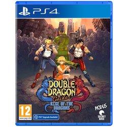 Double Dragon Gaiden: Rise of the Dragons