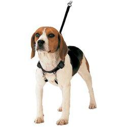 Arnés para perro gloria 30-42 cm talla m