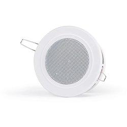 Altavoz de línea de 100 V