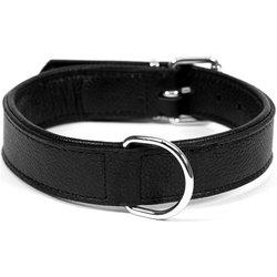 Collar para Perros GLORIA PETS Cuero Moído A Seco (26 g)