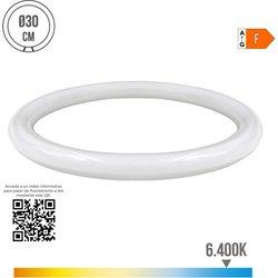 Tubo LED EDM Circular G10Q F 18 W 2100 Lm Ø 30 cm (6400 K)