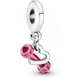 Charm Pandora  799545C01