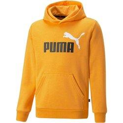 Puma Ess+2 Col Big Logo 586987