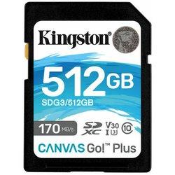 512gb sd canvas go plus 170r c10