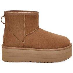 Botas Mujer UGG Marrón (Tam: 37)