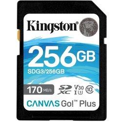 256gb sd canvas go plus 170r c10