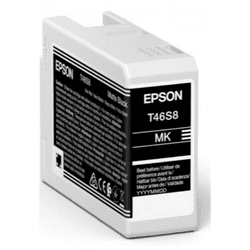 Epson Cartucho De Tinta T46s8