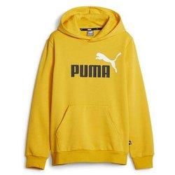 Puma Ess+2 Col Big Logo 586987