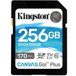 256gb sd canvas go plus 170r c10