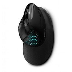 RATON ERGONOMICO WIRELESS WRLS