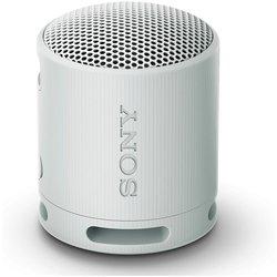 Altavoz Sony SRSXB100L