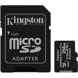 Tarjeta de memoria MicroSD 256GB