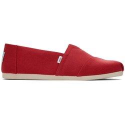 Toms Alpargatas