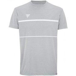 Camiseta Tecnifibre Team Plata