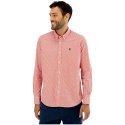 Camisa Pulpo Camisa Micro Rapport