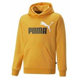 Puma-Sudadera Infantil Puma Naranja 9-10 Años