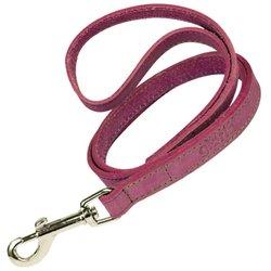 Correa para Perros GLORIA PETS (60x3 cm)