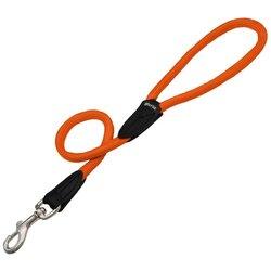 Correa para Perro Gloria 1 x 120 cm Naranja