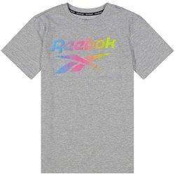 CAMISETA REEBOK GRADIENT LOGO GRIS LIGHTHEATHER EX7616