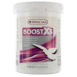 Fortificante Vitamínico Para Palomas Boost X5 500 Gr.