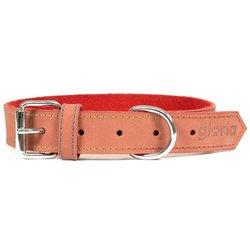 Collar para Perro Gloria Oasis Rojo (70 x 3 cm)