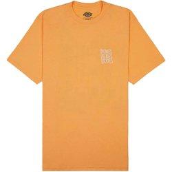 Camiseta dickies creswell papaya hombre