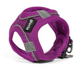 Arnés para Perro Gloria Trek Star 27-28 cm 31-34,6 cm Morado XS