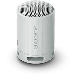 Altavoz Sony SRSXB100L