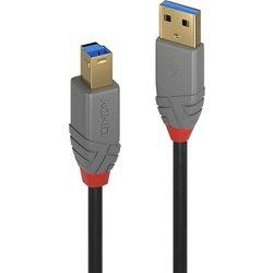 Cable USB LINDY (USB - USB)