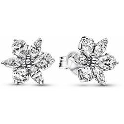 Pendientes Pandora Timeless 292633C01 herbario