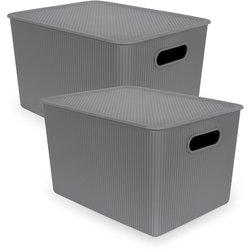 TATAY Baobab - Set de 2 Cajas Organizadoras 22L con Tapa en Plástico PP05. Gris Antracita