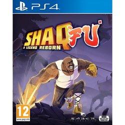 Shaq Fu: A Legend Reborn Ps4