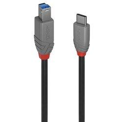 Lindy 1M USB 3.2 TYP C AN B