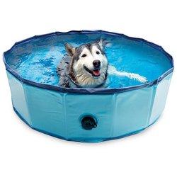 Piscina Para Perros 80X20 Cm ARQUIVET