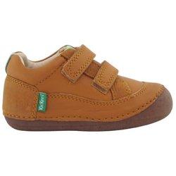 KICKERS SOSTANKRO CAMEL NIÑO