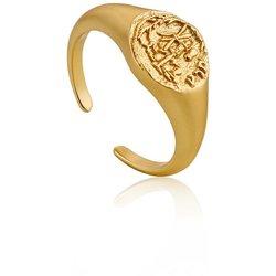 Anillo Mujer ANIA HAIE R009-03G (13)