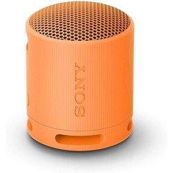 Sony Altavoz Bluetooth Xb100